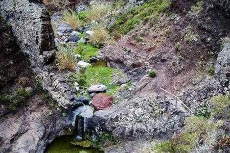 Casas Galloway Anaga Misteriosa Y Magica El Bailadero Eksteriør billede